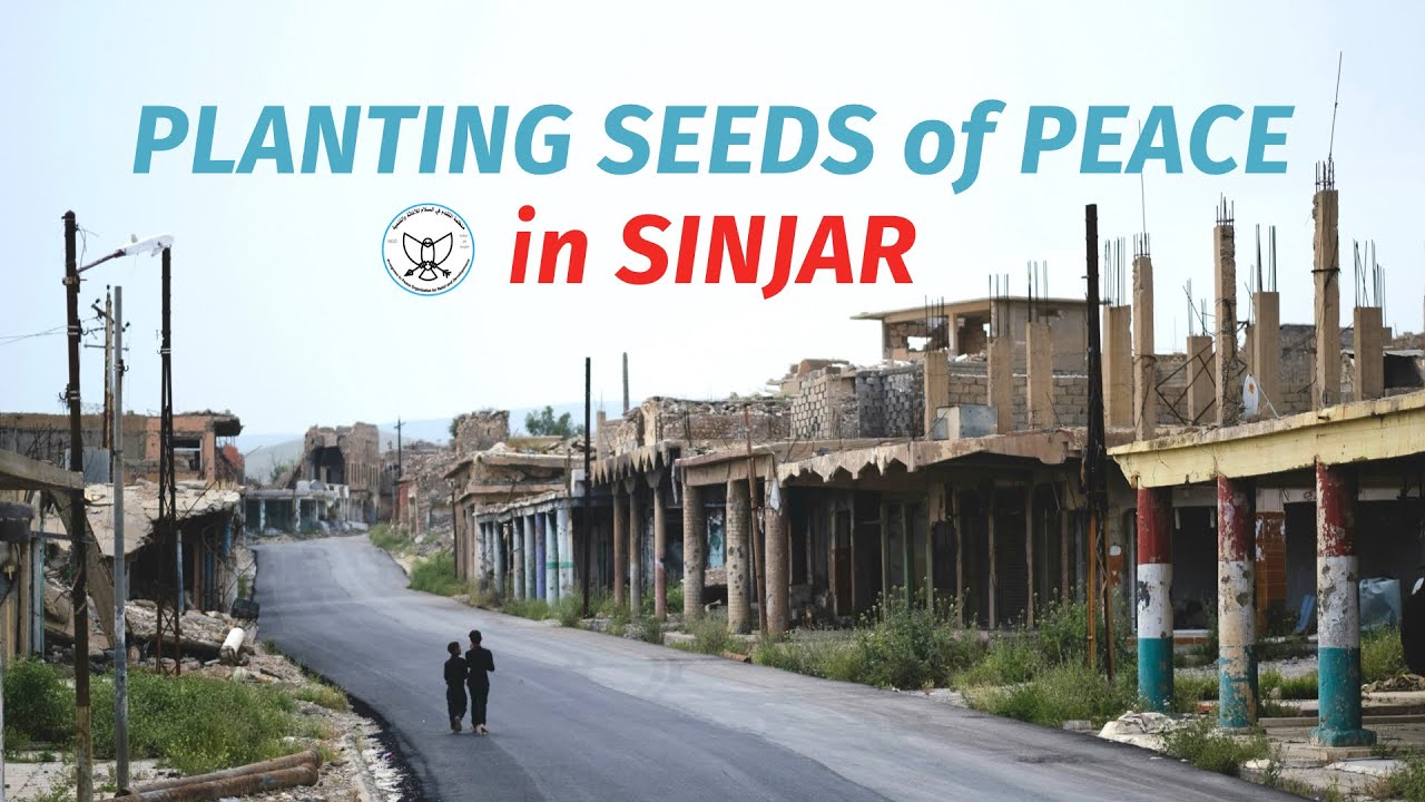 Planting Seeds of Peace in Sinjar, Iraq